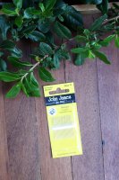 Temecula Quilt Co Favorite Things